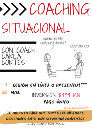Sesión - COACHING SITUACIONAL